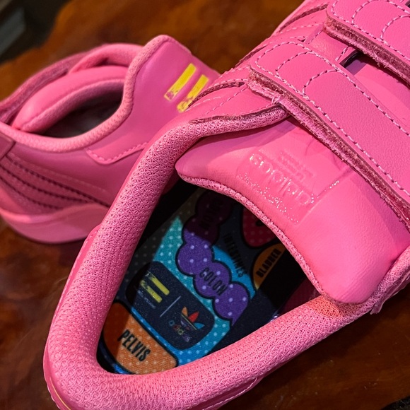 air foamposite sequoia